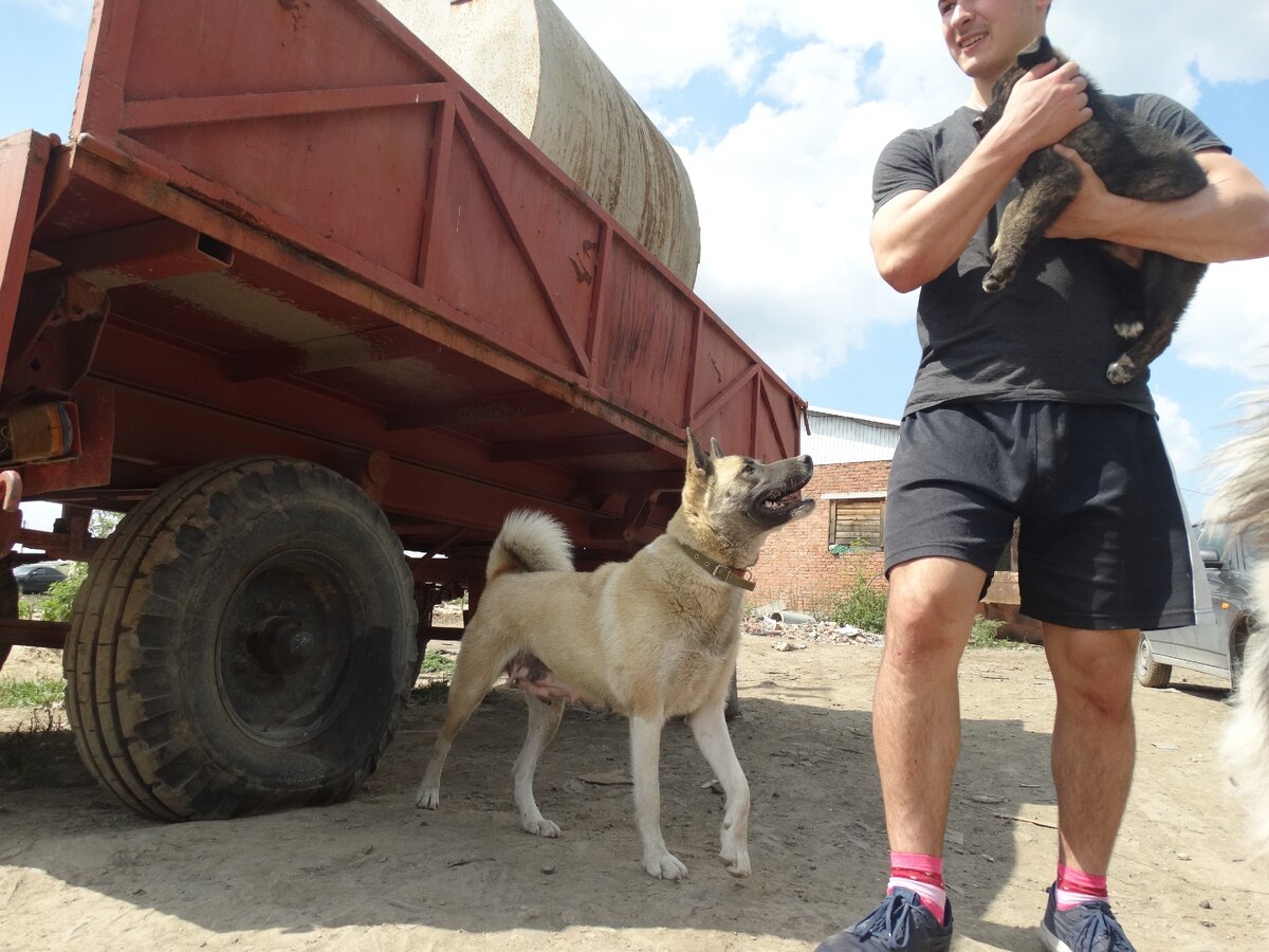 Слева - Лора, мама Доры. На руках у гостя приюта Дора