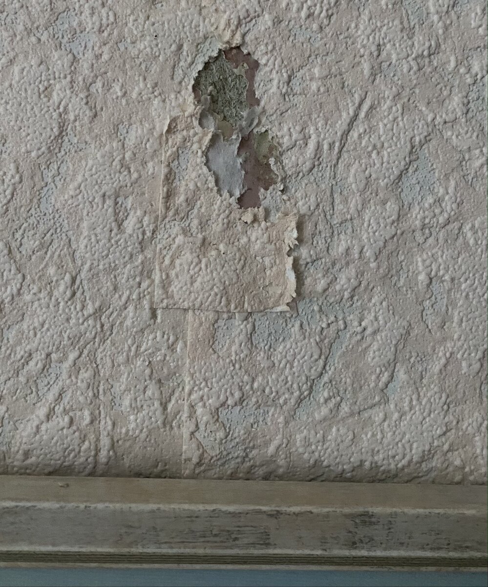 фото из личного архива