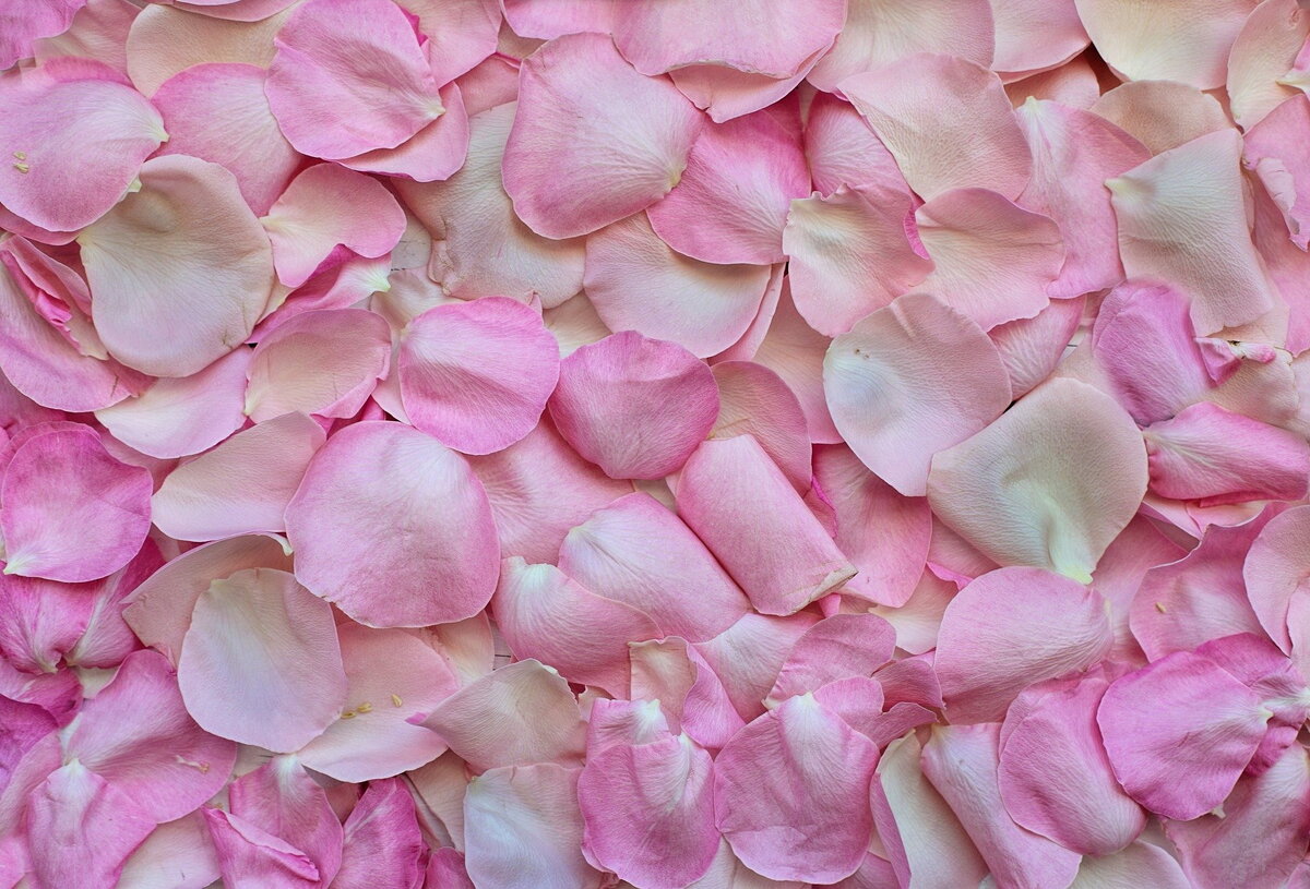 Фото - pixabay.com