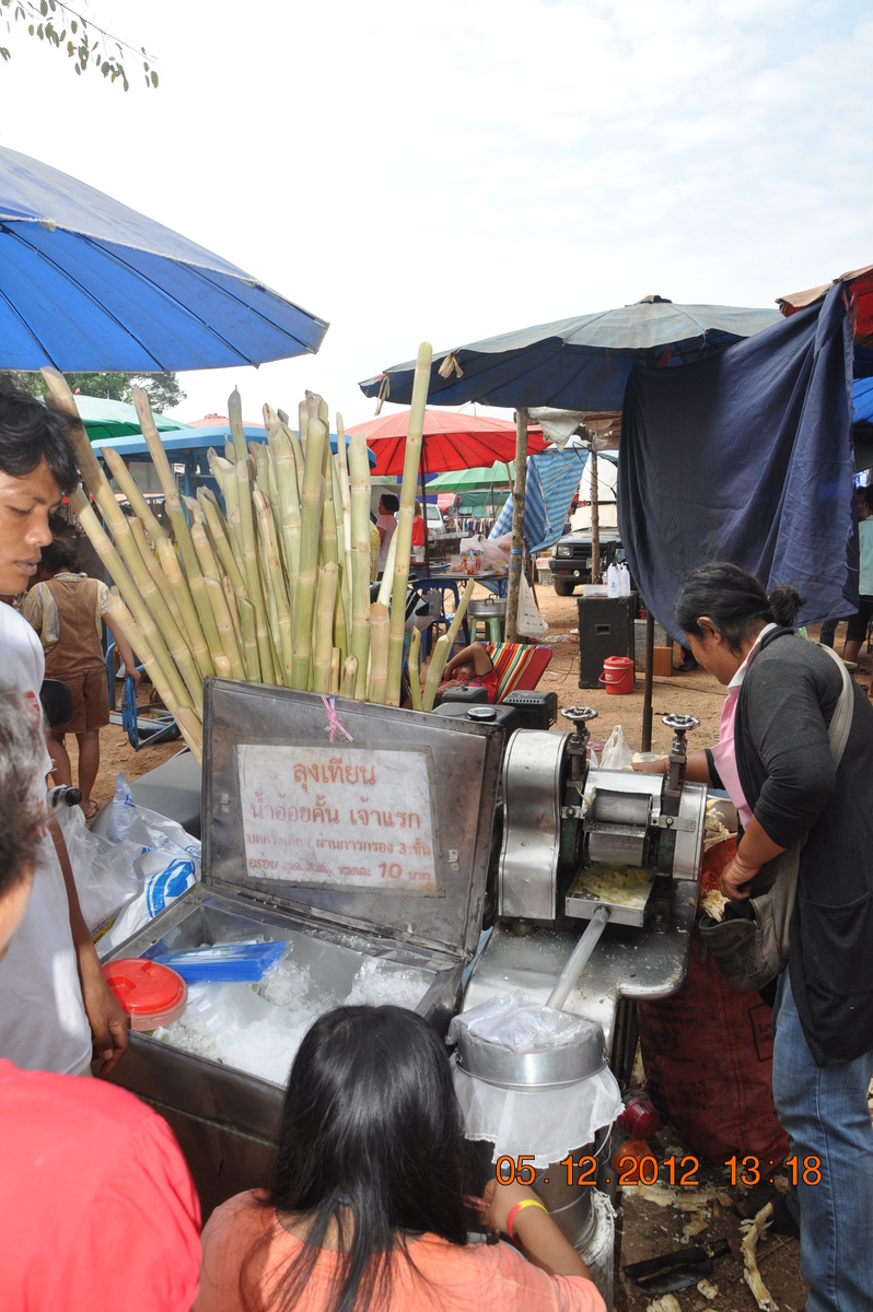 Сахарный тростник.