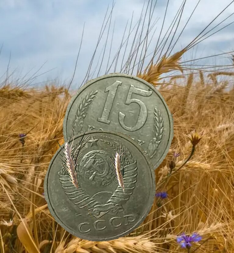 15 копеек СССР. Фото из интернета.