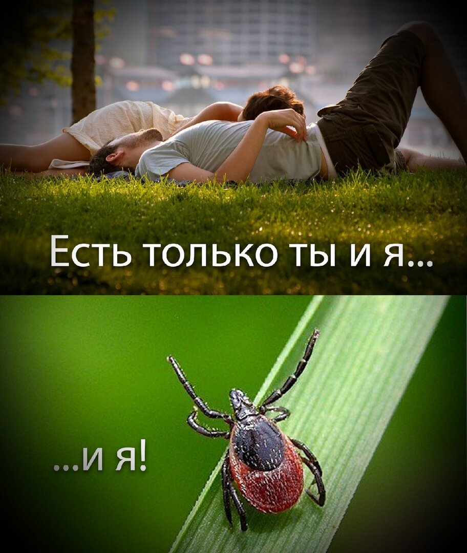 товарищ клещ дочь