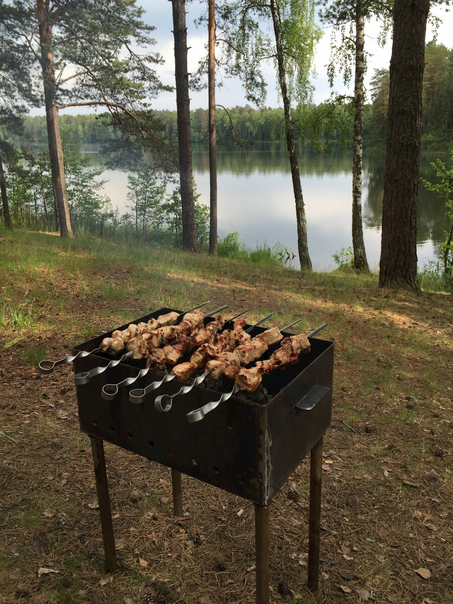 Картинка отдых на природе с шашлыками