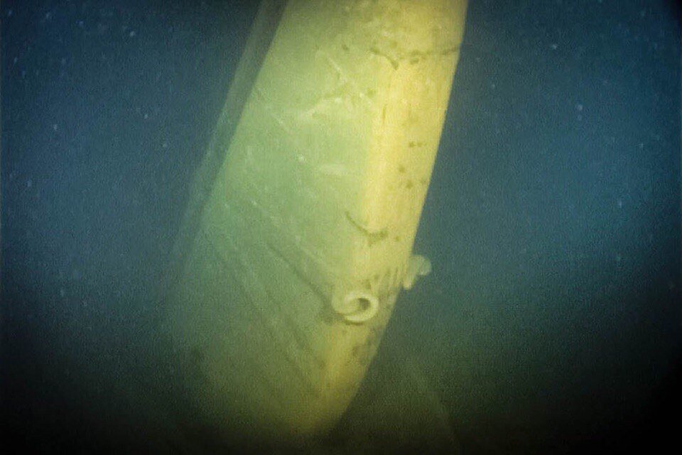 Подводные кадры. Фото: ЦПИ РГО