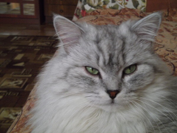 Меня зовут Джерри, а вас?