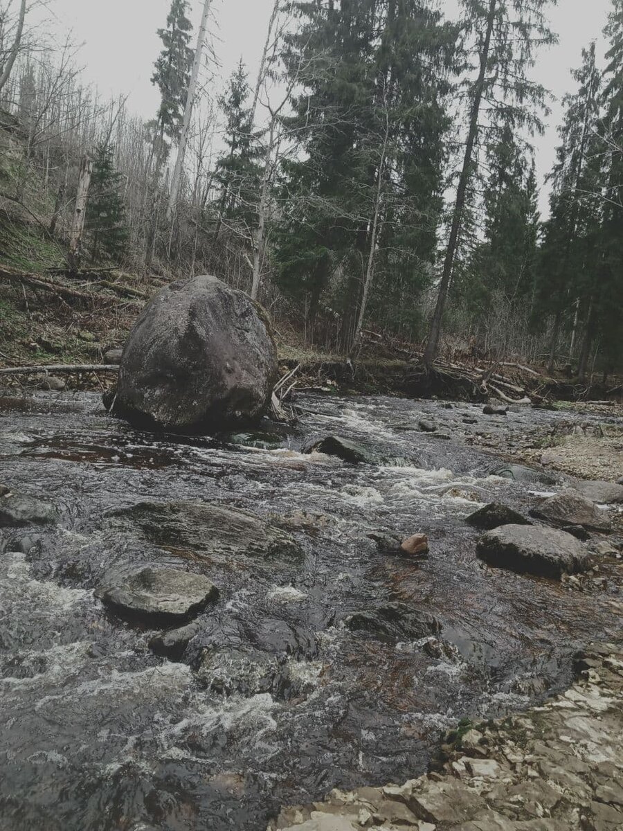 Я не стала менять естественный мрачный свет пасмурного дня. Мне кажется, он хорошо передает атмосферу русского сказочного леса, в котором того и гляди встерчи