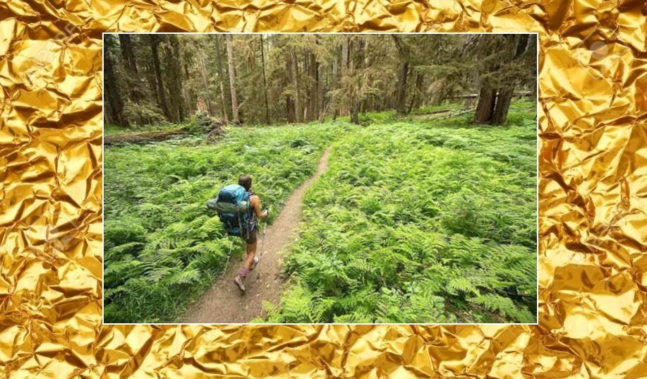 Как и зачем организуют привлечение инвестиций в туризм | Финансист ...