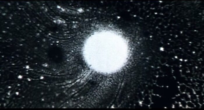 Кадр из к/ф "Эоломея" из свободных источников