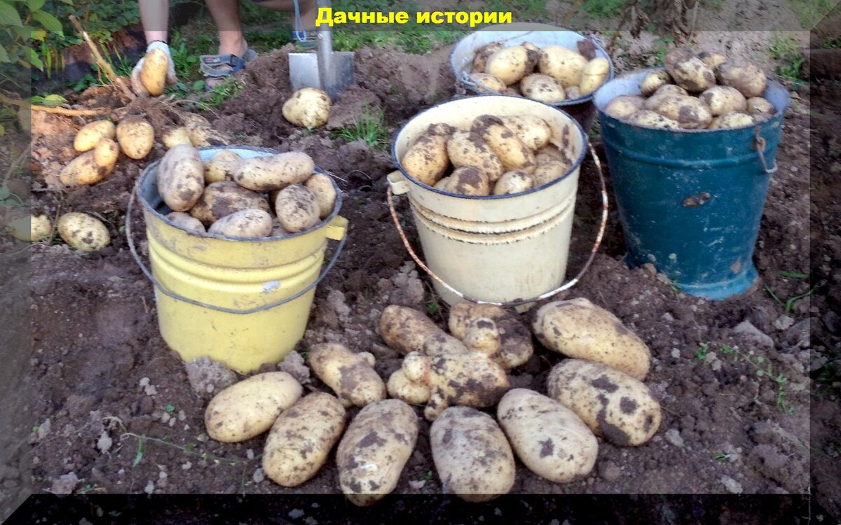 https://vk.com/photo-159774511_457248736