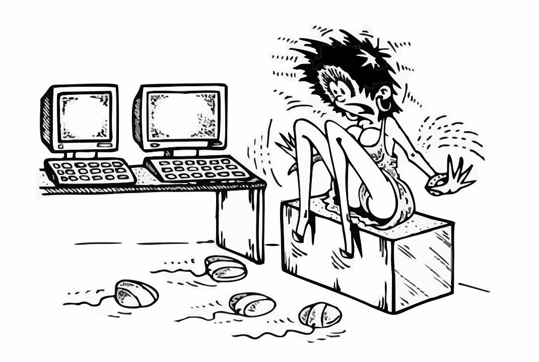 Картинка из открытых источников в интернет.