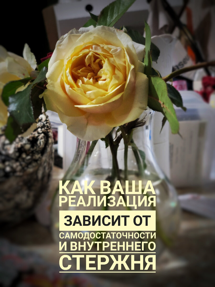 Розе не надо доказывать, что она прекрасна. Раскрываясь и благоухая, она реализуется!