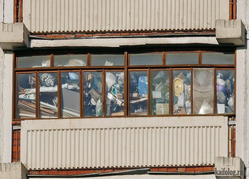 Источник изображения: kaifolog.ru 