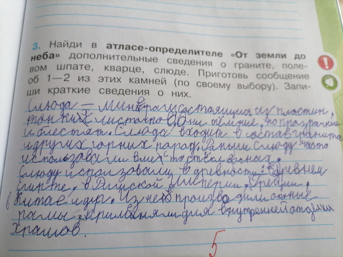 Ругаю учебник по Окружающему миру Плешакова. Не понятно, как дети должны  выполнять такие задания! | Приключения Петербуржцев в России | Дзен