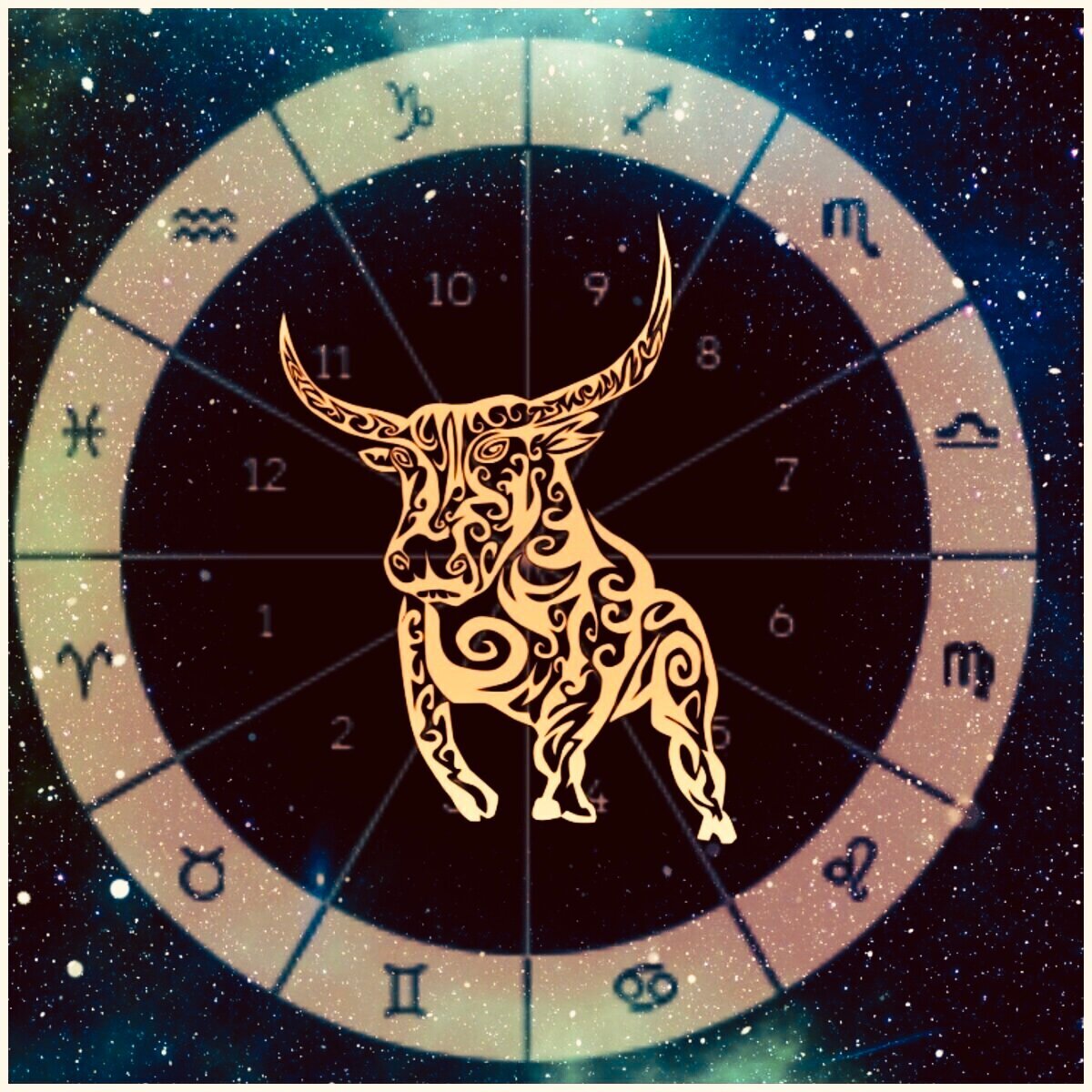 Телец знак зодиака Taurus