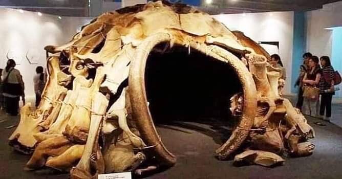 Хижина из костей мамонта, найденная в Черкасской области, село Межирич. Стоянка Межирич была случайно открыта осенью 1965 года одним из местных жителей при сооружении погреба на глубине около 2-х метров. Дому около 15 ОО0 лет. Позже на этом месте была обнаружена стоянка охотников на мамонтов, состоявшая из четырех жилых сооружений, сделанных из костей вымерших животных. Было принято решение оставить этот объект на месте и создать лабораторию-муз ей "Стоянка охотников на мамонтов" с возможностью экспонирования и постоянного исследования. Ученые установили, что там есть несколько культурных слоев - люди селились в том жилище несколько раз: оставляли его, потом возвращались, все восстанавливали и снова уходили. Это как базовый лагерь, который функционировал преимущественно в холодный период года. То есть, весной и летом люди передвигались по охотничьей территории, питались свежиной, на зиму делали запас и возвращались на базовую стоянку.
