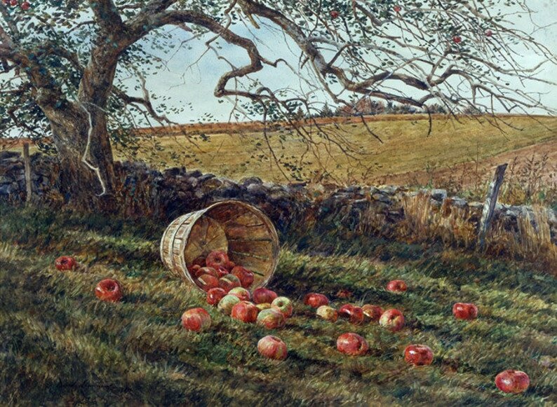 Дэвид Армстронг                                               