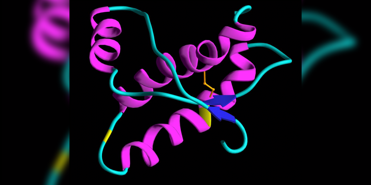 Графика прионов. Фото с сайта - https://clck.ru/YoSTN