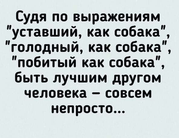 прикол про 28 танков. анекдот про 28. анекдот про 28. шутки про мясокомбинат. шутки про 28 лет.
