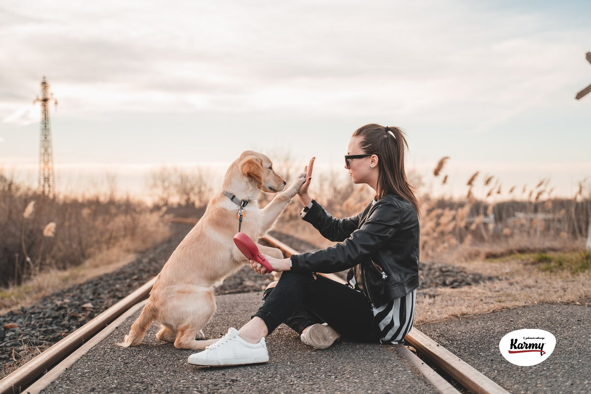 Авторское изображение с использованием картинки с фотостока "Unsplash"