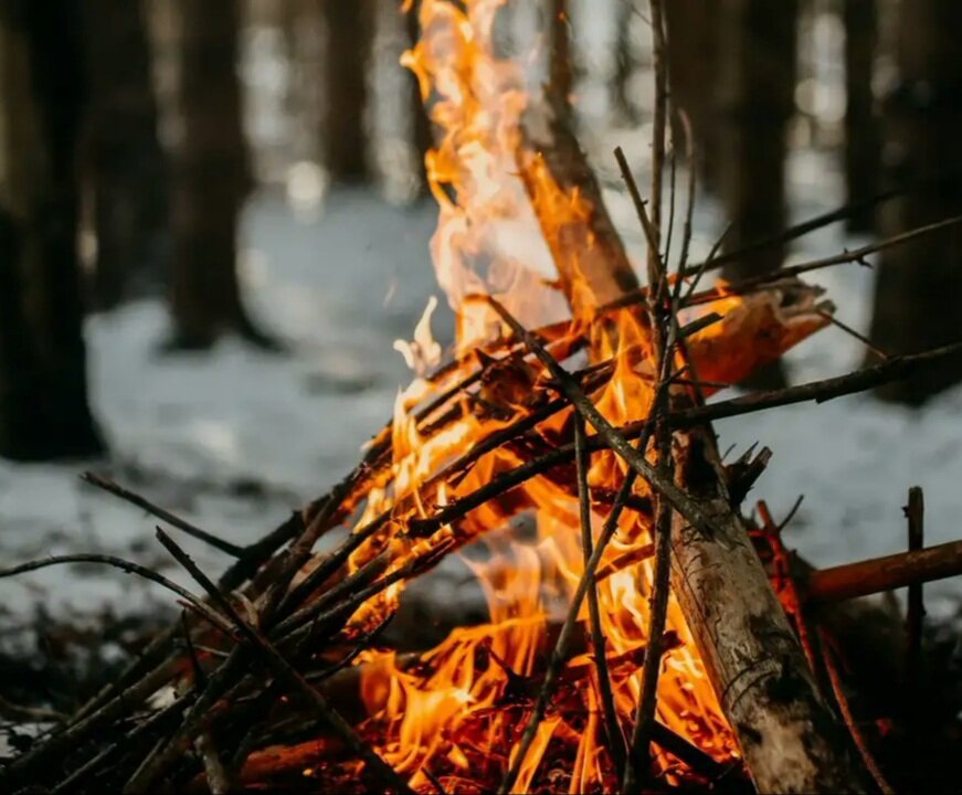 Фото из интернета