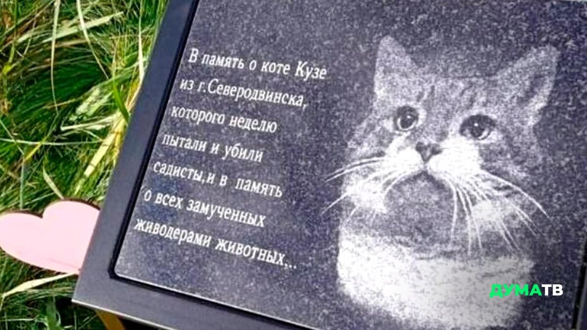 коте кузе