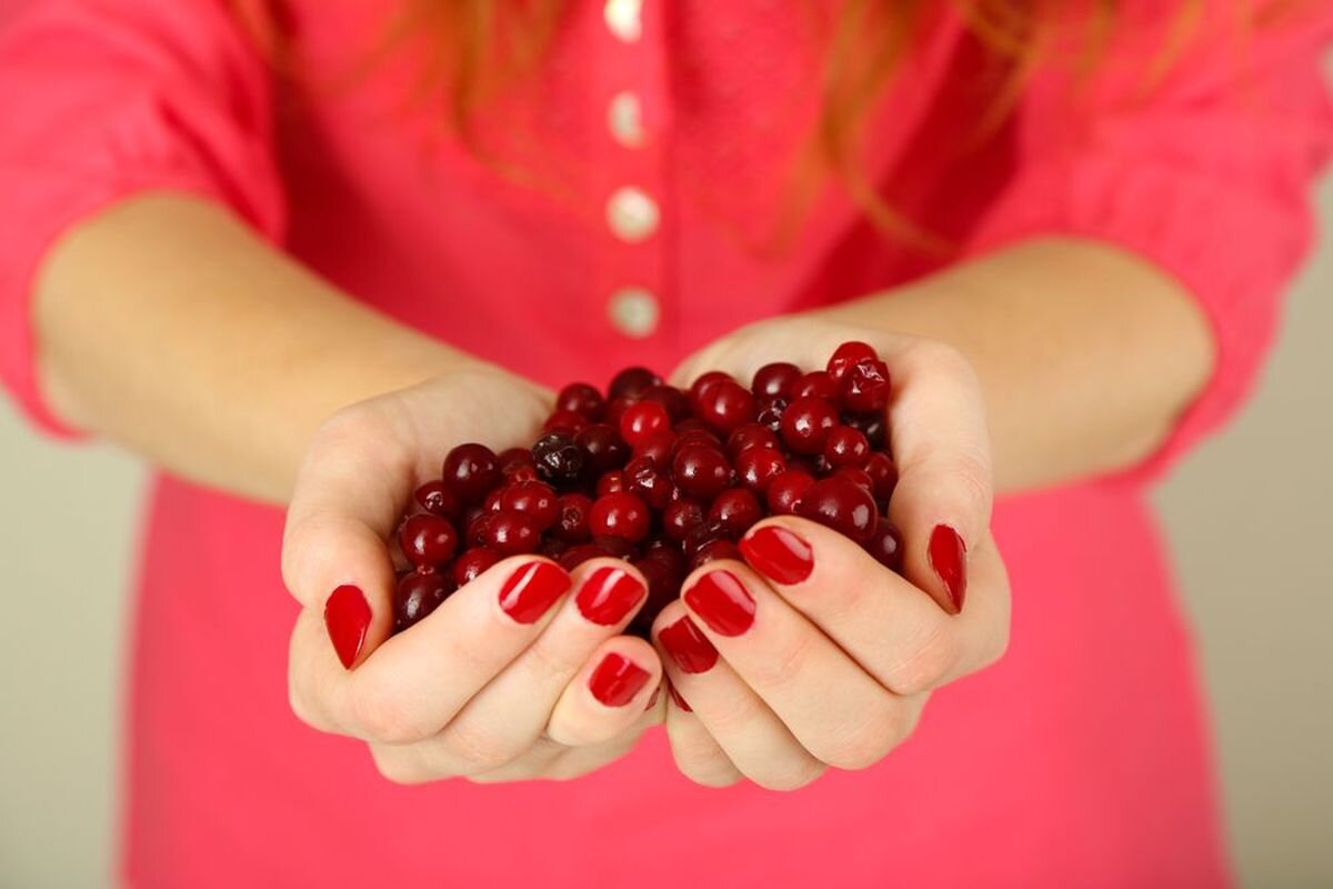 Клюква или брусника? Какая ягода полезнее для здоровья? | Fresh.ru домашние  рецепты | Дзен