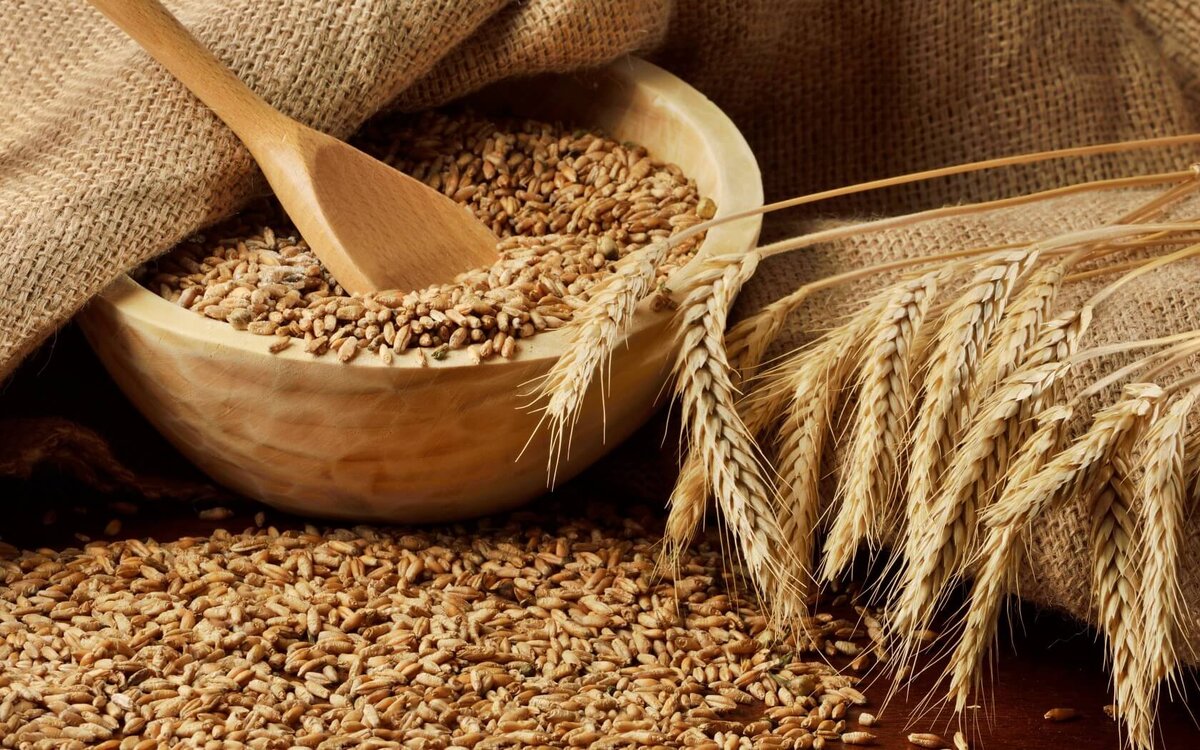 Хлеб пекут в основном из пшеницы. Источник: foodandhealth.ru