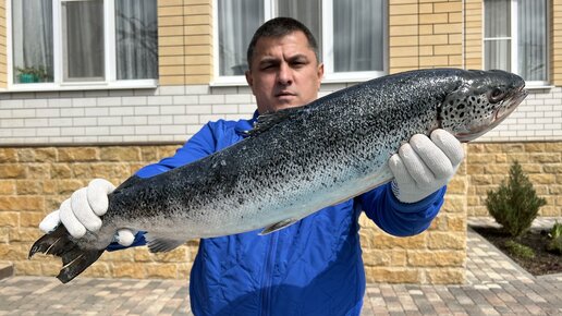 КАК ПОЖАРИТЬ ФИЛЕ СЕМГИ ВКУСНО И СОЧНО! Шашлык из семги