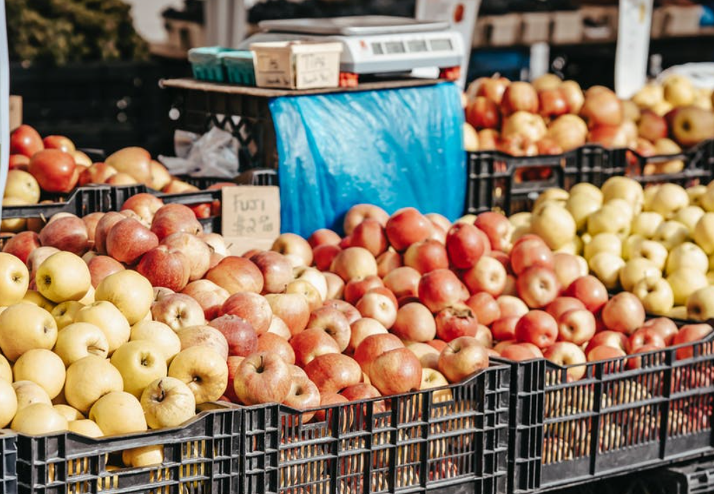 Фото: pexels.com