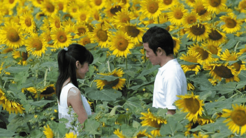 Кадры из фильма «Я вернусь с дождем»