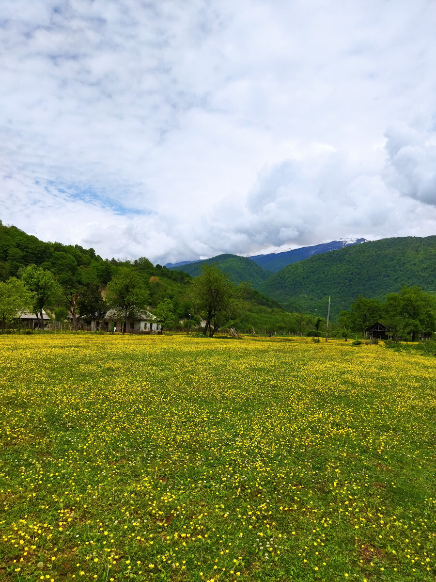 Поляна перед домом