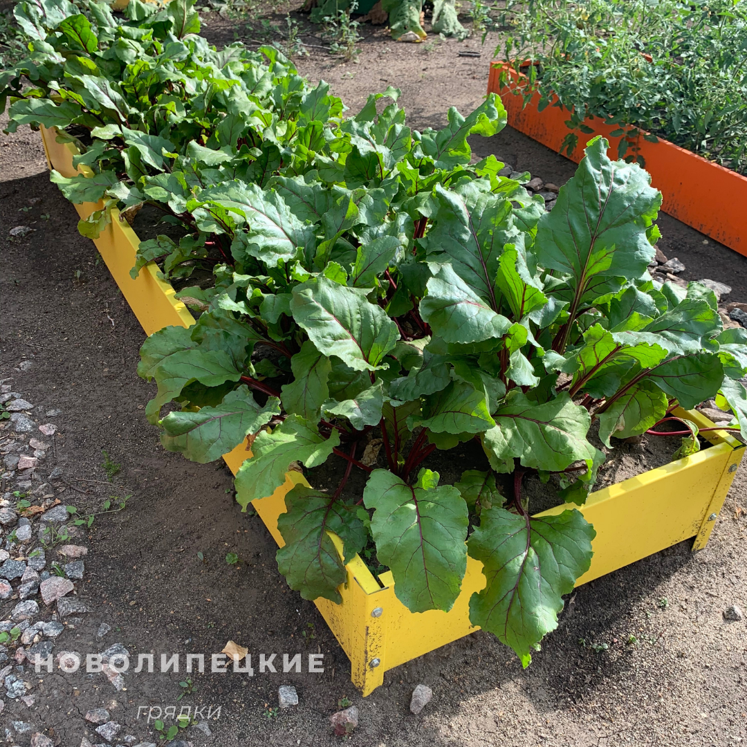 Металлическая грядка 2 х 0,7 м, высота бортика 17 см