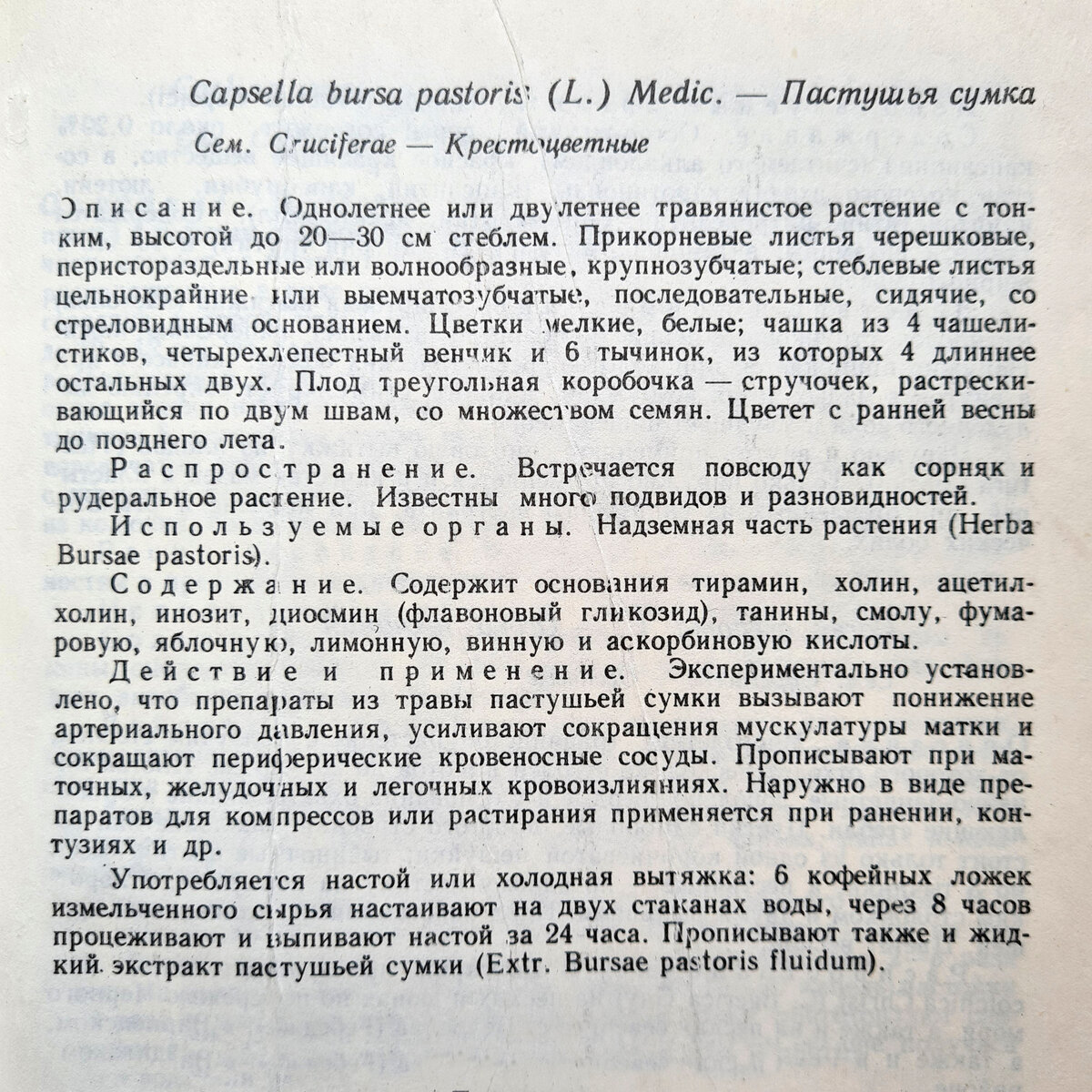 Пастушья сумка для женщин. | Милла. Натуральная жизнь. | Дзен