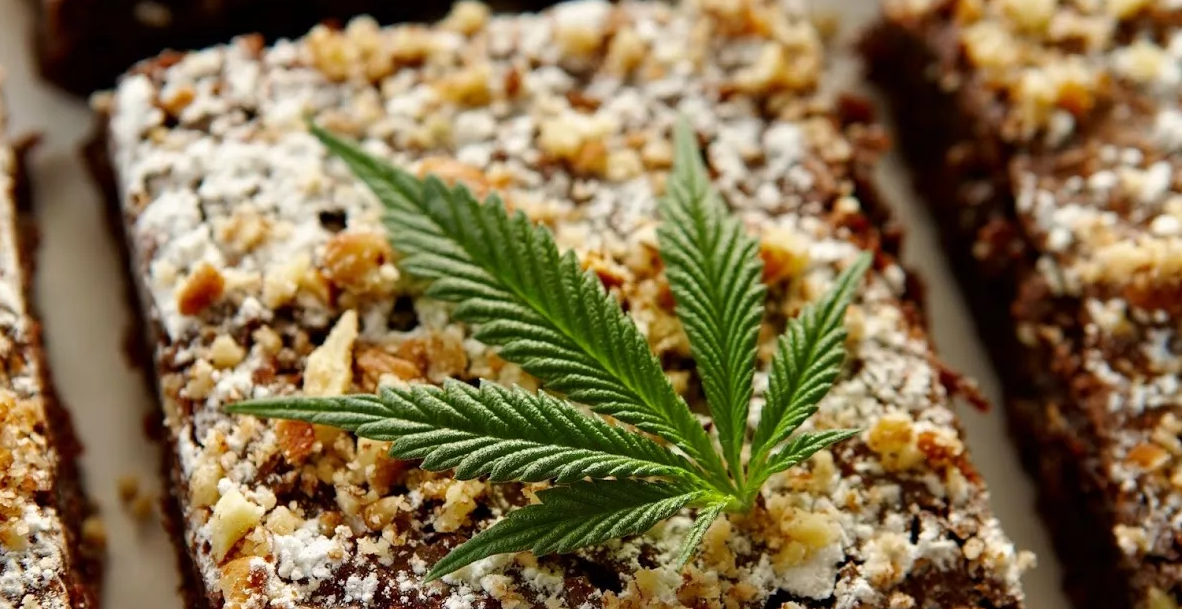 Источник: frognews.ru