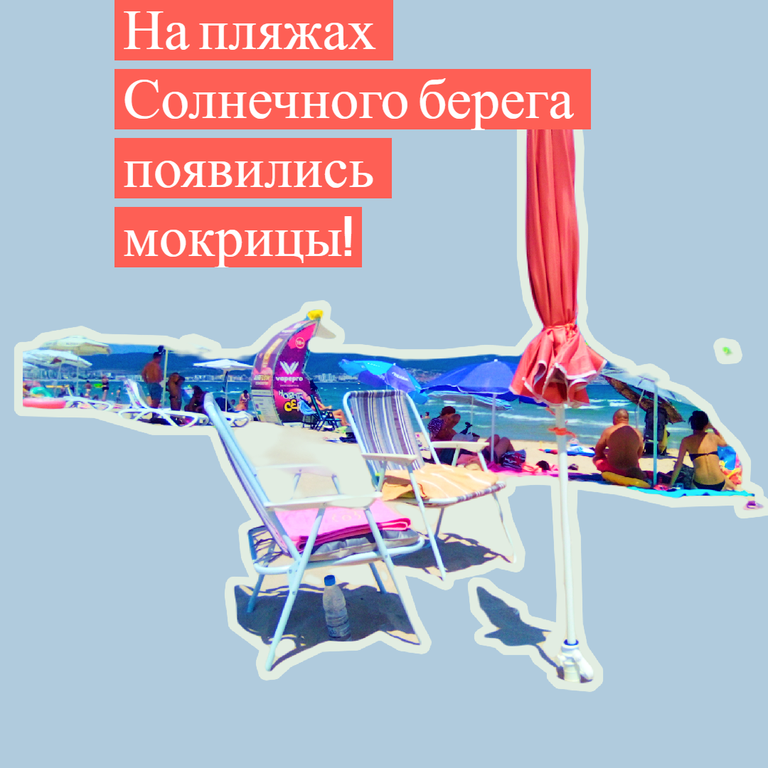 Хоть красиво, а кусаются!