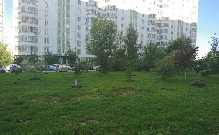    В Курске 30 и 31 июля будет облачно с прояснениями