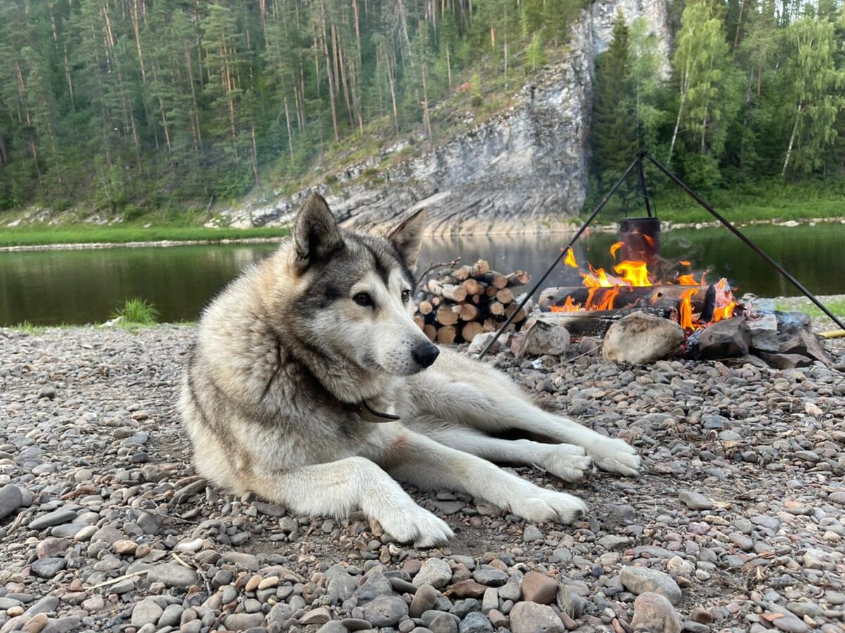 Отдых у костра