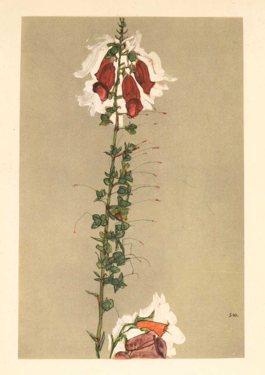 Цветы. Э. Шиле