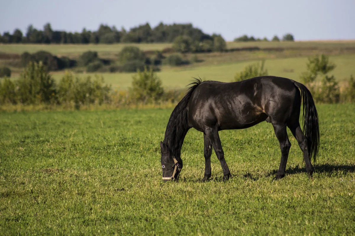 Источник: ЯндексКартинки