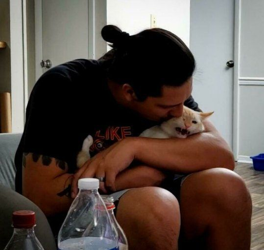 Как скалятся маленькие домашние “тигры”. Подборка, поднимающая настроение