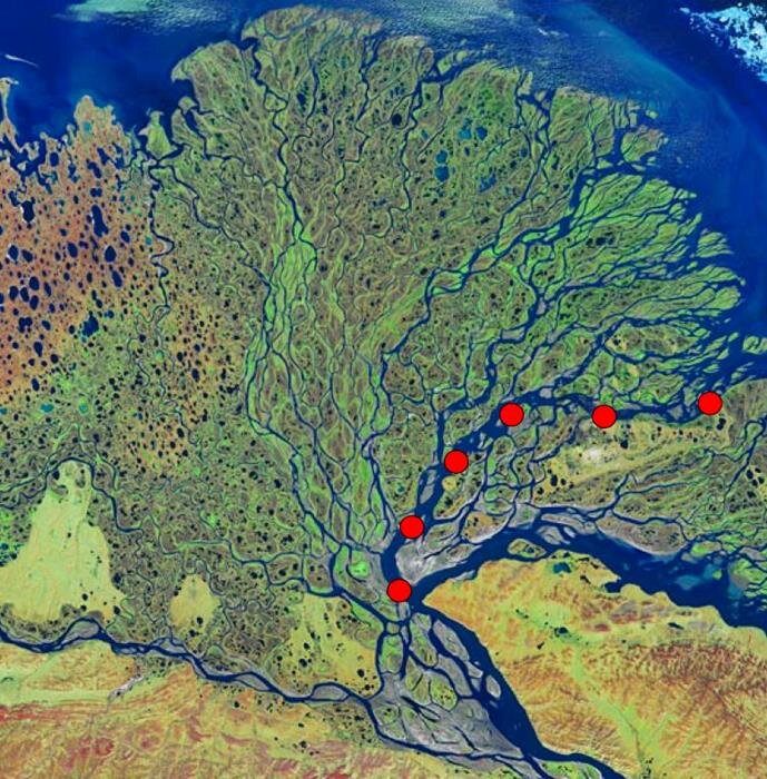 Дельта реки. Дельта реки Лена. Дельта реки Лена со спутника. Река Устье Дельта Лена. Устье реки Лена.