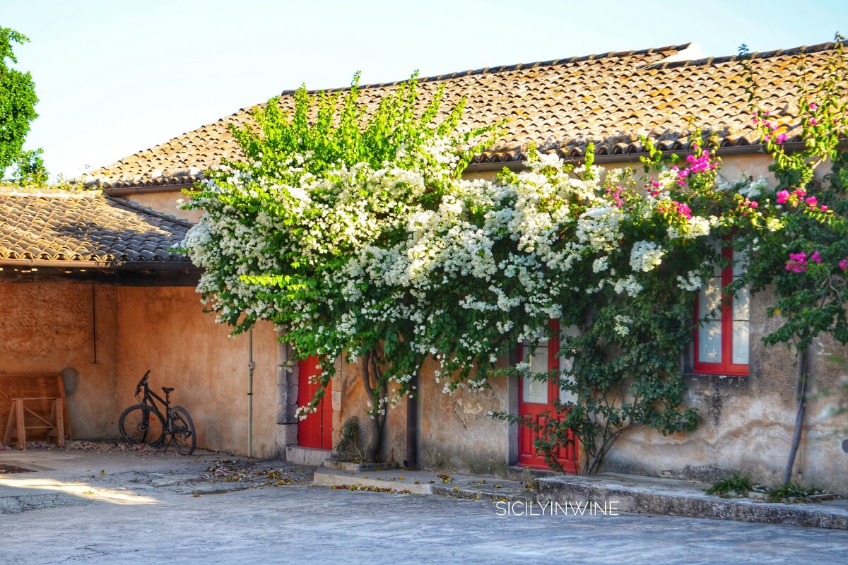 Внутренний дворик винодельни, вход в погреб