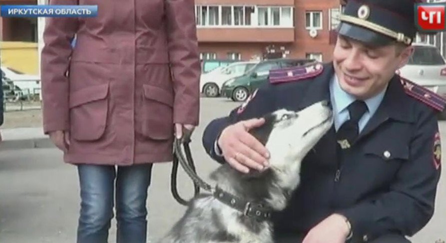 На фото нашумевшая история из Иркутска, где у инвалида украли собаку поводыря. Фото взято с сайта https://2016.weacom.ru/news