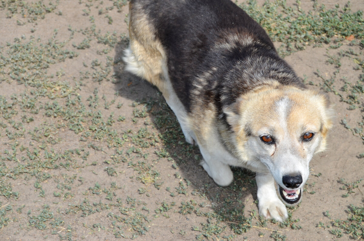 Фото автора