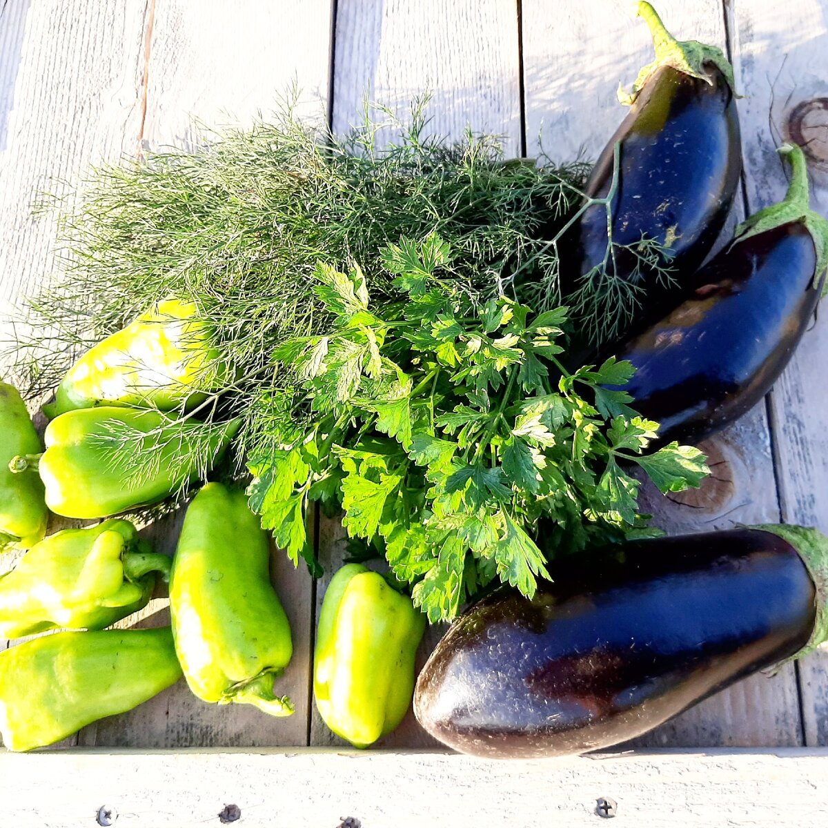 Такую красоту выращивает сестра