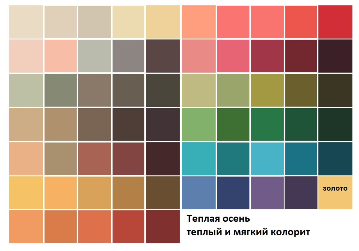 Цветотип палитра. Палитра теплая осень колор Хармони. Теплая осень цветотип палитра. Цветотип осень палитра приглушенные тона. Палитра цветов для цветотипа теплая осень