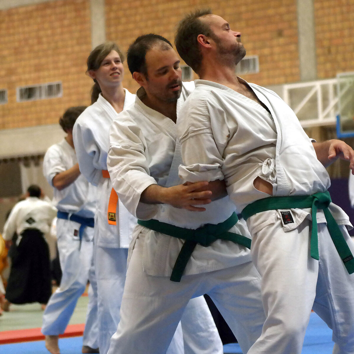 Отработка в паре – единственный способ научиться джиу-джитсу