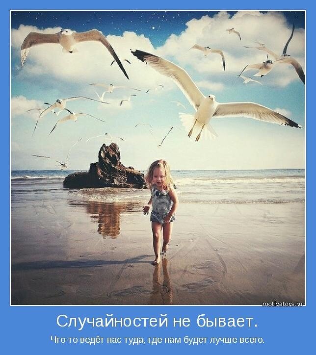 Случайностей не бывает