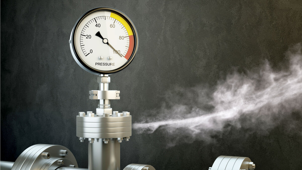 Фотография : `` tridland '' ( Shutterstock )