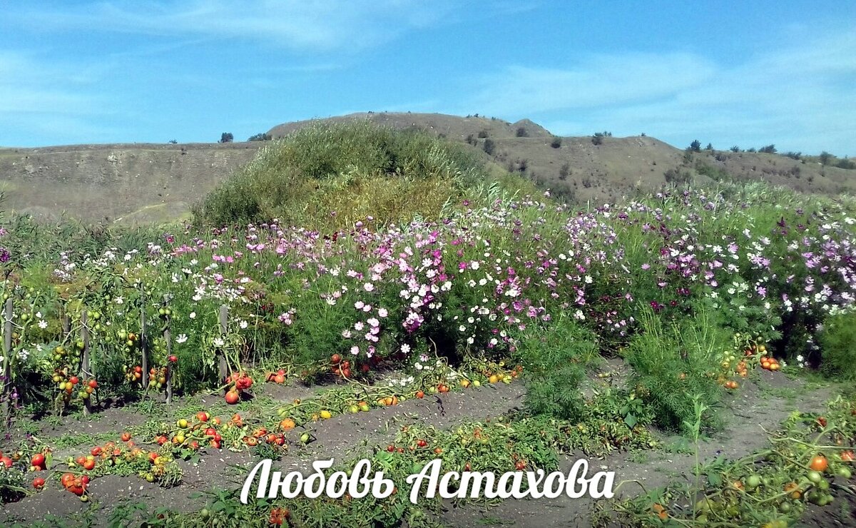 Моё "нужно" жить в красивом и чистом пространстве, выращивает простые цветы и экологичные овощи. Листайте галерею. 